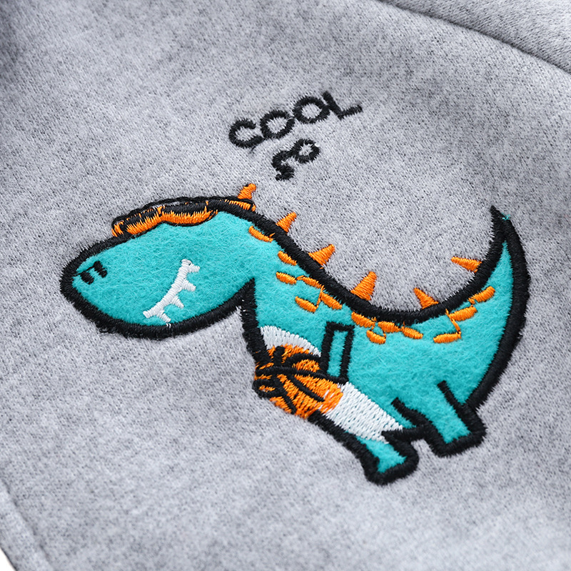 Boys' Dinosaur Spell Sleeve Hooded Sweatshirt