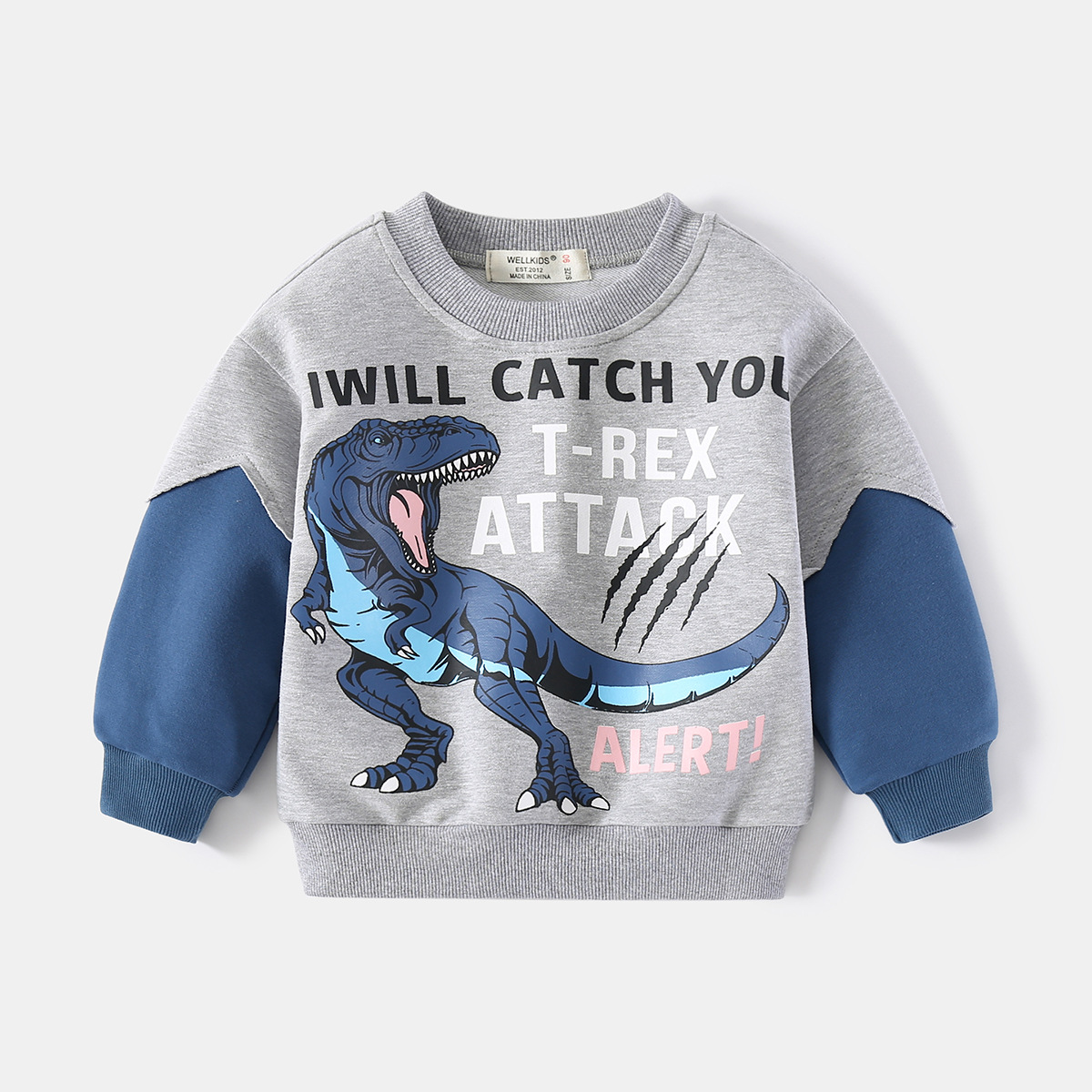 Round Neck Casual Long Sleeve Sweatshirt