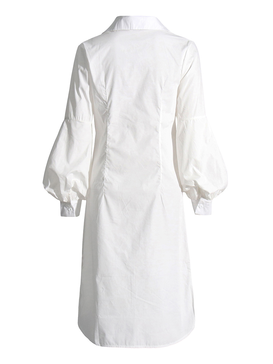 Turn-Down Collar Long Sleeve Waist-Skimming Dress