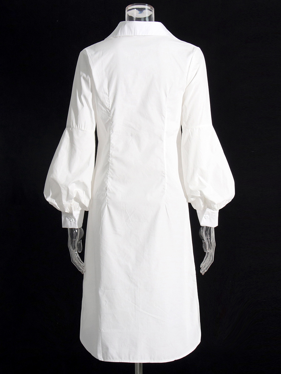 Turn-Down Collar Long Sleeve Waist-Skimming Dress