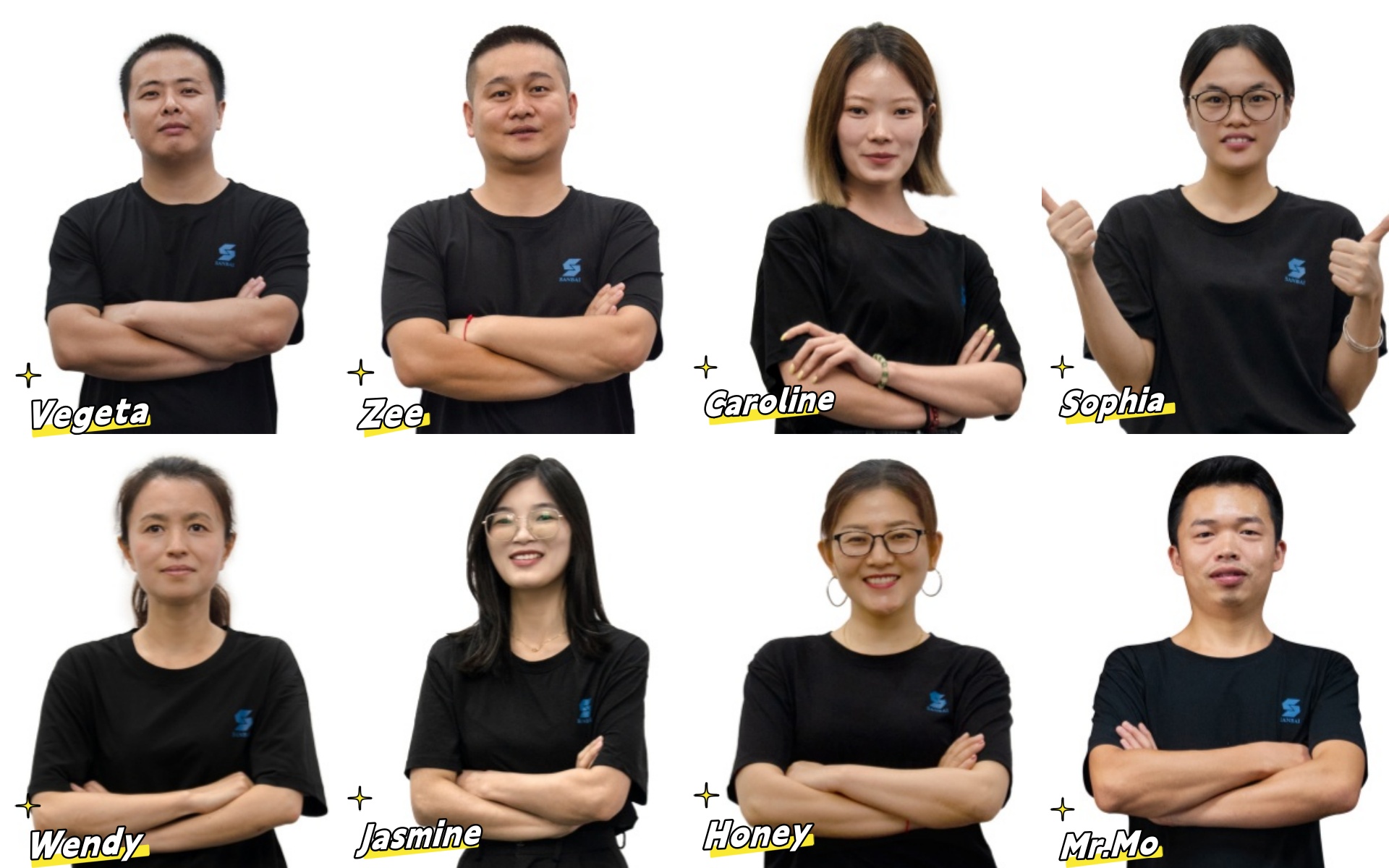 Company Team(图1)