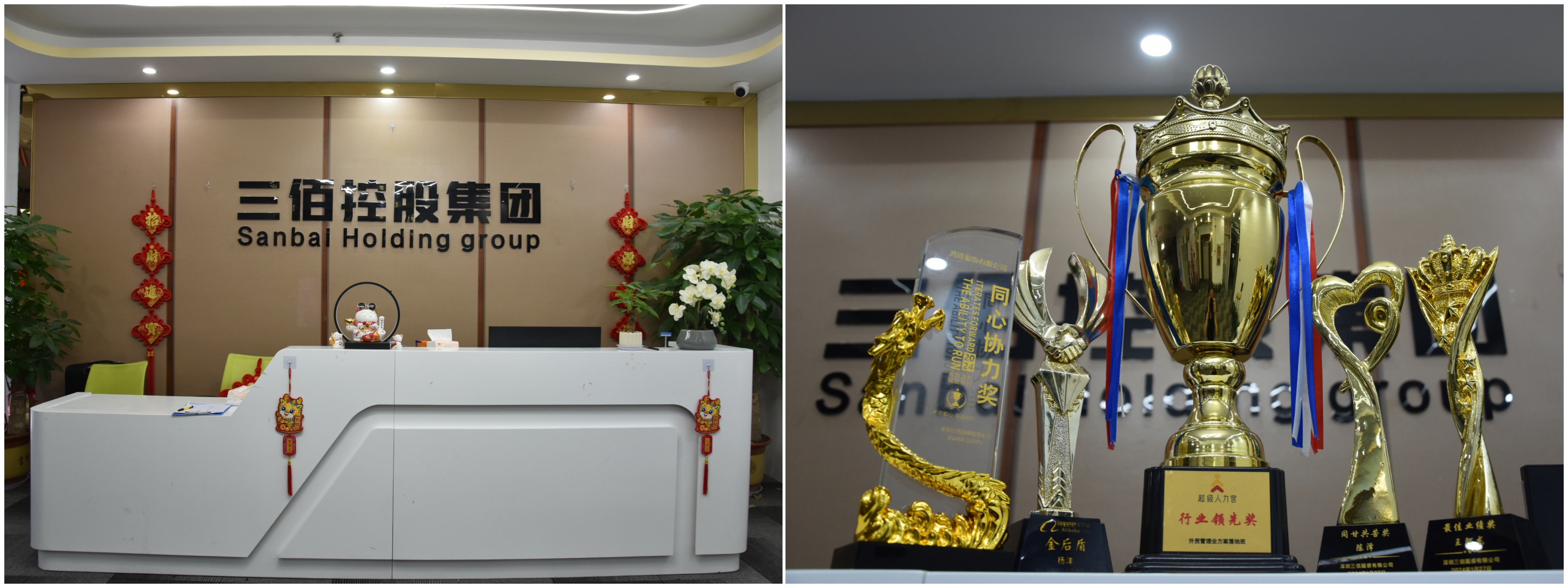 Company Profile(图1)