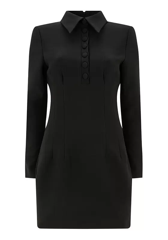 Long Sleeve Lapel Single Breasted Mini Dress