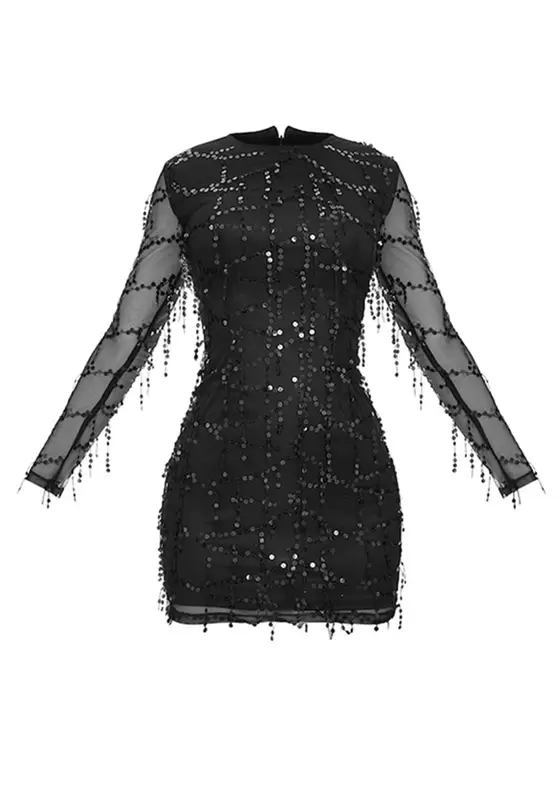 Mesh Sequin Detail Long Sleeve Mini Dress