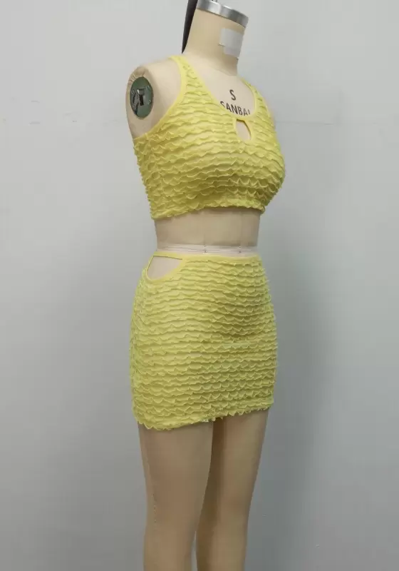 Textured Sleeveless Skirts Set​