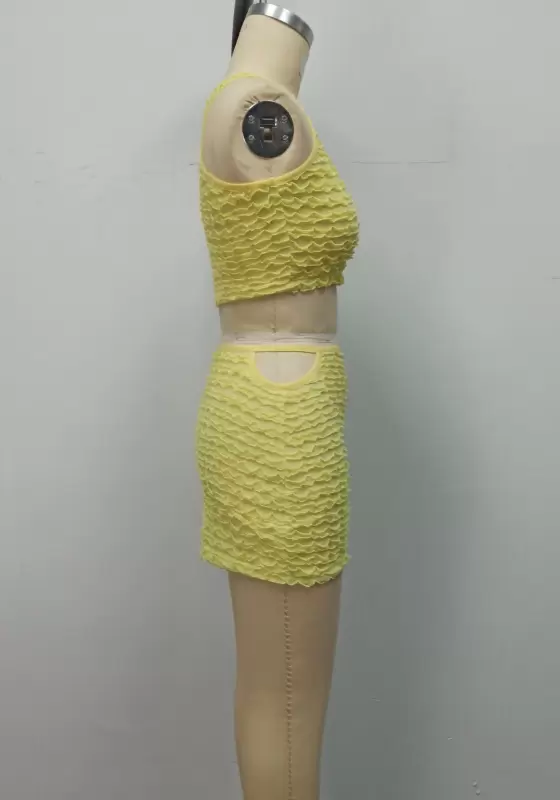 Textured Sleeveless Skirts Set​