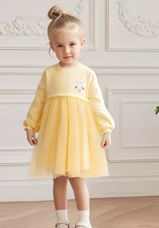 Long Sleeve Mesh Patchwork Dress