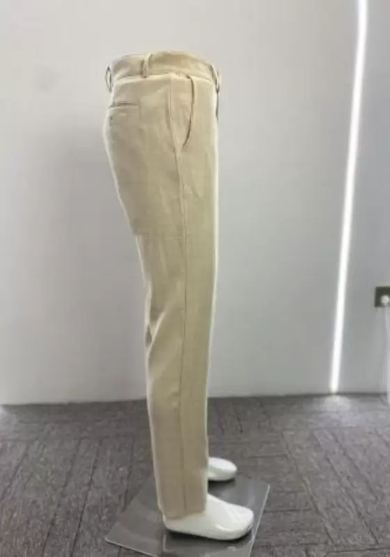 Tailored Pleated Chino Pants
