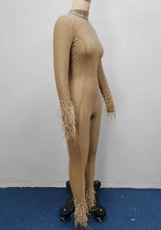 Mesh Sequin Feather Trim Jumpsuit