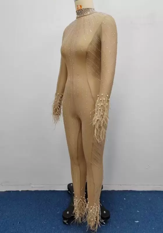 Mesh Sequin Feather Trim Jumpsuit