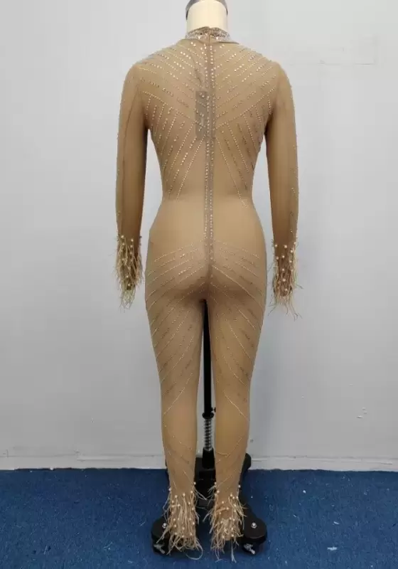 Mesh Sequin Feather Trim Jumpsuit
